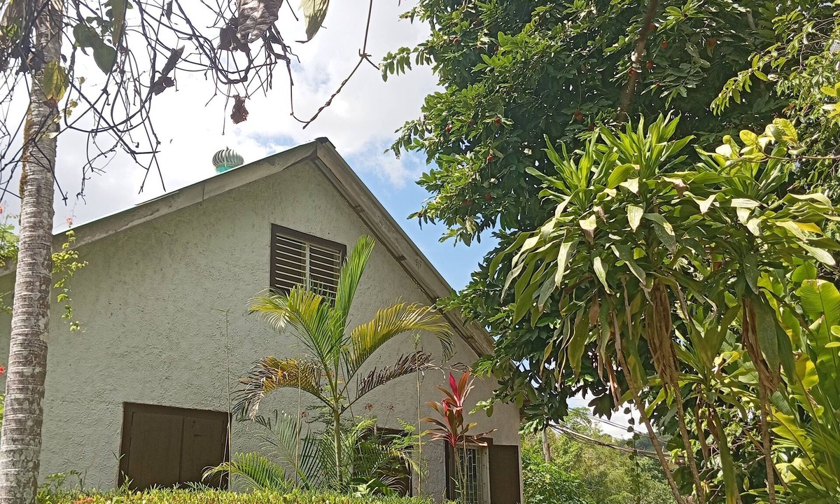 San Ignacio House | 3-Bedroom house, air-conditioned, private kitchen, private bathroom, living room and a private garden.