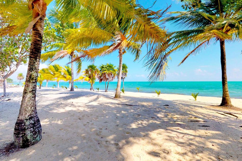 Placencia House | Casa Spuntino