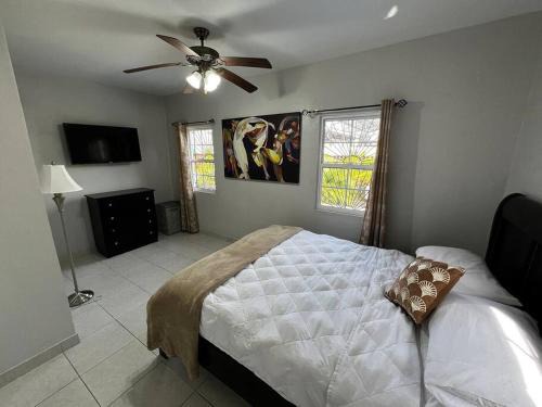 Belize City House | CentralCity "Haven" Private Home & Pool