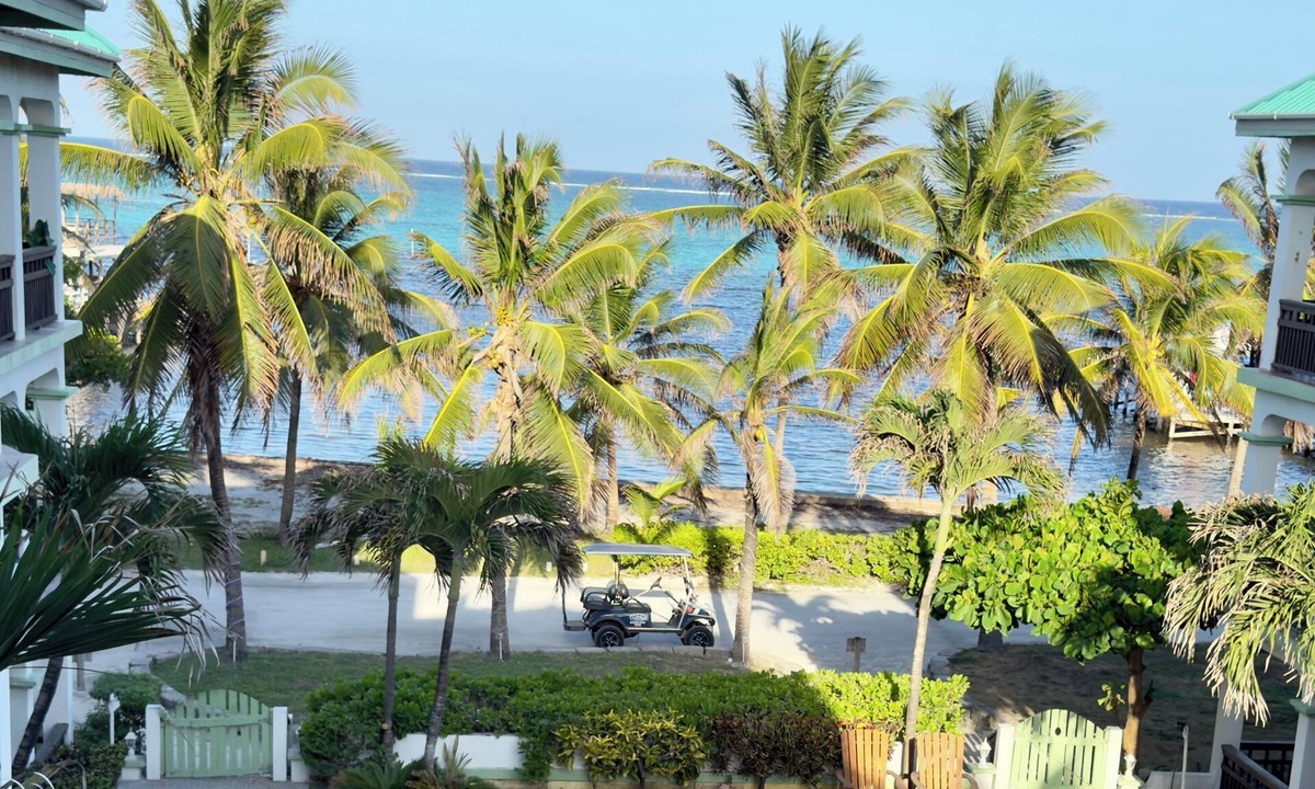San Pedro Condo | Oasis Penthouse with Stunning Caribbean Sea view