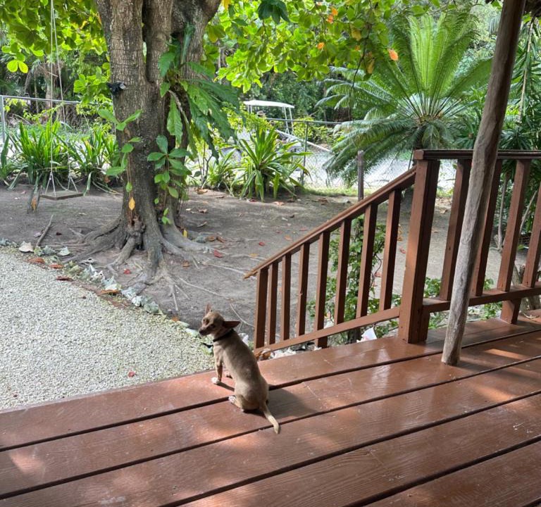 Caye Caulker House | The Coral Casa