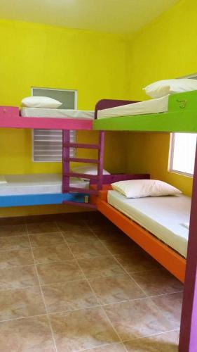 Caye Caulker Hostel | Travellers Palm Backpackers