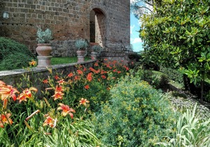 Experience a breathtaking vacation in a castle, restaurant, stunning views in Proceno