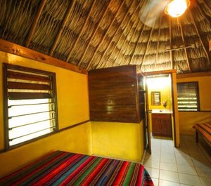 Cohune Palms River Cabanas 