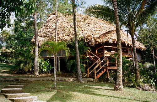 Blancaneau Cabin | Blancaneaux Lodge by Francis Ford Coppola