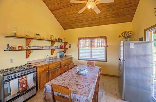 San Antonio Cabin | Charming cabin with private balcony, lush views & eco-friendly features