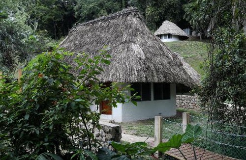 Teakettle Village Resort | Jade Jungle Resort