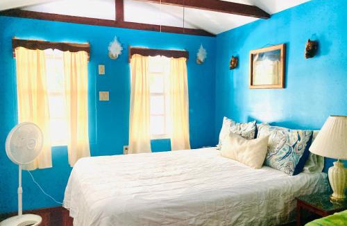 Caye Caulker House | JAGUAR MORNING STAR