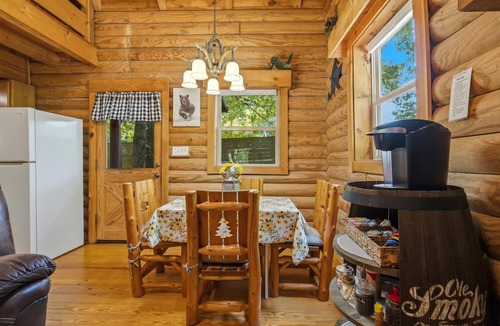 Knoxville Cabin | Little Joe Log Cabin, UTK/Neyland, Smokies, 16acres, FP, HotTub, Fishing, Pets