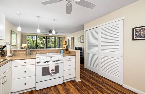 Historic Kailua Village Condo | 🌴Lovely garden unit | Walking Distance to Kona Down Town | WiFi | AC 🌴