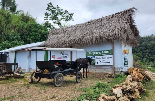 Armenia Apartment | Maya Cave House. Overnite in a cave in Belize, with howler monkeys as neighbours