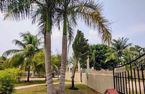 Corozal Cottage | Ocean Views, Pool, Fishing, King & Queen Beds, Kitchen, BBQ, BTB Approved, Quiet