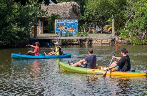 Hopkins Bed & Breakfast | Palmento Grove Garifuna Eco-Cultural & Healing Institute