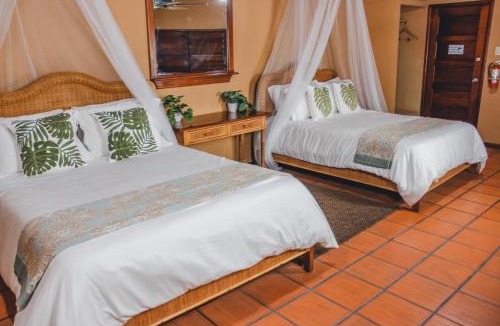 Orange Walk Bed & Breakfast | The Mayan Garden