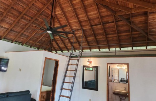 Bullet Tree Falls House | Turtle Suite