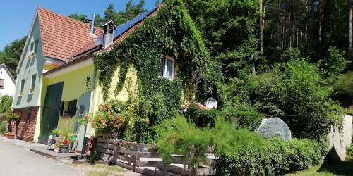 Dambach House | Violeta