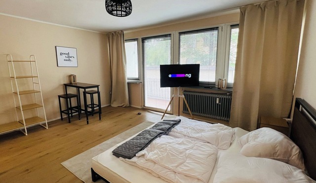 1-room apartment near Sanaklinikum balcony Netflix in Offenbach am Main