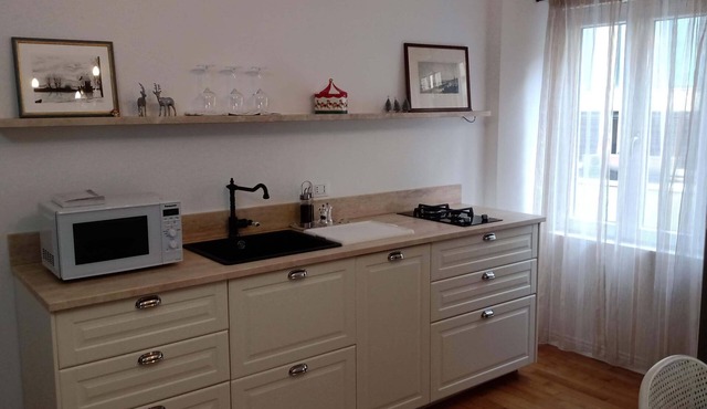 2-bedroom, 4-guest apartment in historic area of Trieste in 19th century style in Trieste