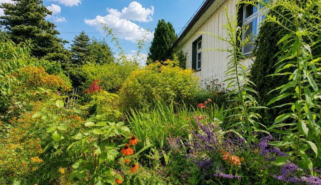 A stylish retreat in the Art Deco/Art Nouveau style with an English cottage vibe in Wurzbach