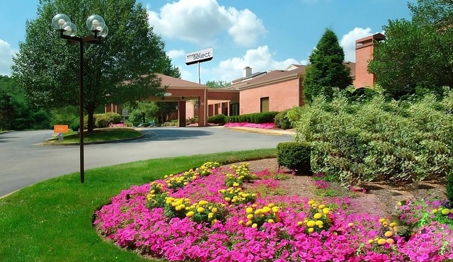 Always a Great Idea To Unwind! 3 Units, Free Breakfast & Parking, Pets Allowed! in Foxborough