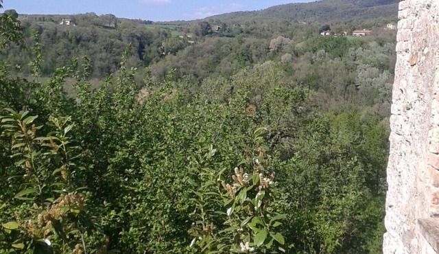 An ideal home for your Italian vacation! in Massa Martana PG