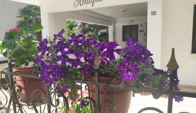 Antique The Hotel in Olympiaki Akti