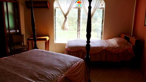 Banana Bank Lodge & Jungle Horseback Adventures