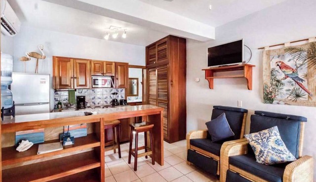 Beachfront dog-friendly condo with pool - walk to ocean from the veranda