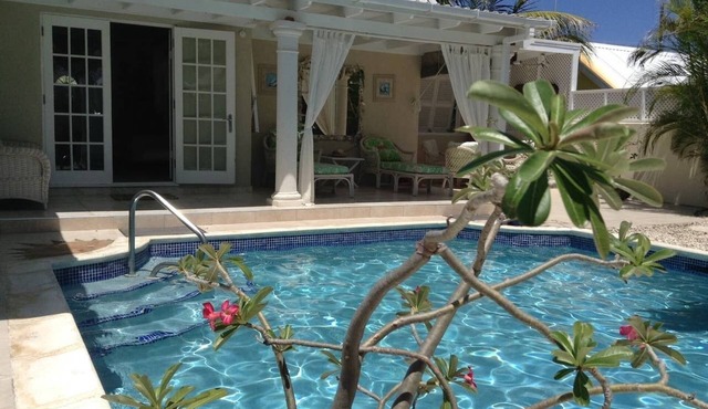Beautiful Villa,Private Pool, Sun Terraces,Garden,Hi Speed Wi Fi, steps to beach in Bottom Bay