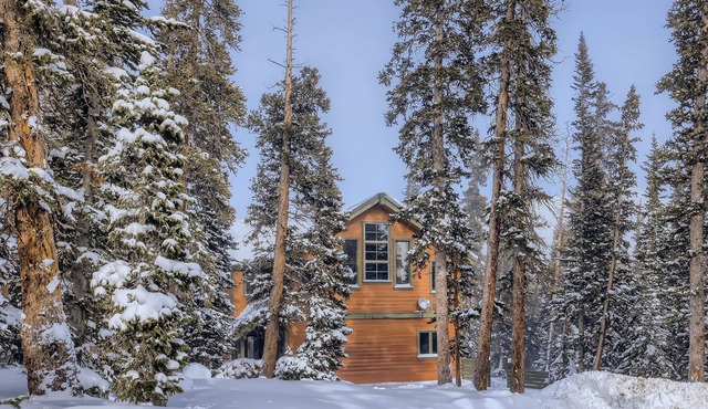 Beautifully updated home with fireplaces & washer/dryer - dog-friendly in Fairplay