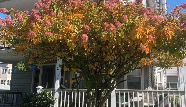 Bright and cozy 3 bedroom apartment in Chicopee with AC, WiFi. Enjoy your stay in Chicopee