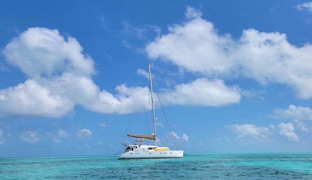 Caribbean Bliss: Sun-soaked Sailing Adventure from Belize to Cayo Ámbar Gris, San Pedro