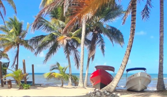 Caribbean Sea View with Rooftop Hammocks in Hopkins