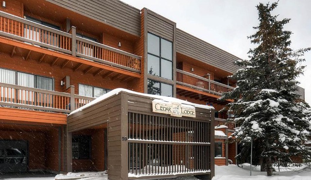 Cedar Lodge Studio in Frisco