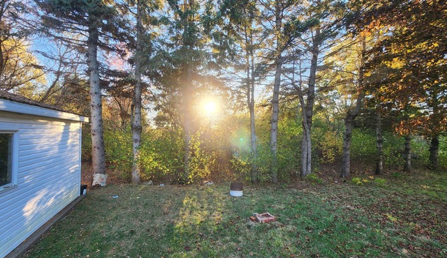 Centrally located and family-friendly in Amherst