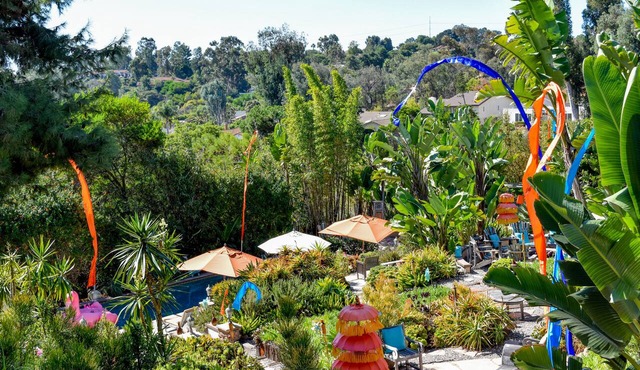 Charming Artist’s Retreat in Encinitas Sleeps Six 30 Day Minimum Jan-March in Encinitas