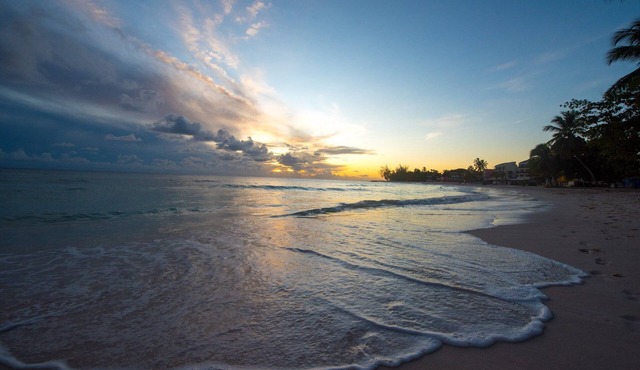 Charming beachside 1-bed - SAND DOLLAR in Speightstown