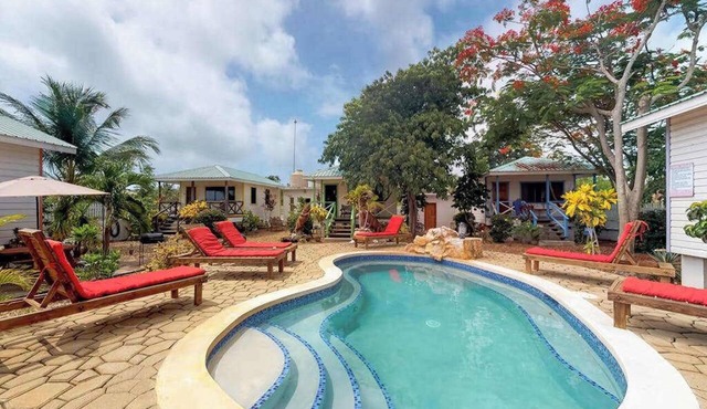 Charming cabana with a porch, hammock, strong WiFi, and a shared pool & grill
