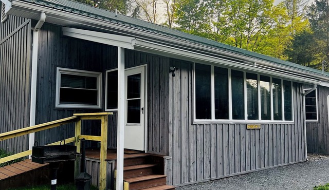 Charming Yet Wild Cozy Retro Cabin Hot Tub, Sunroom, Fire Pit & Trout! Hiking! in Elkins