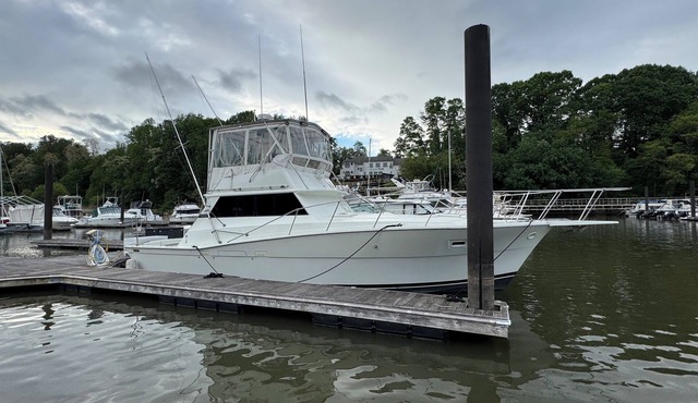 Come stay on our 40 Viking yacht - two bedrooms with restaurant and biking trail in Bear