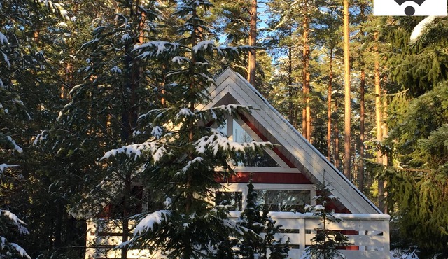 Comfortable holiday home with sauna in an idyllic forest location near a swimming lake, up to 6 p. in Vimmerby V
