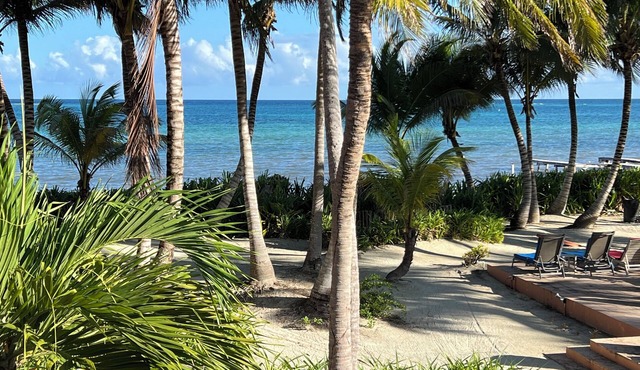 Costa Caye Villa - Beautiful 3 BR/4BA Oceanfront Private Villa
