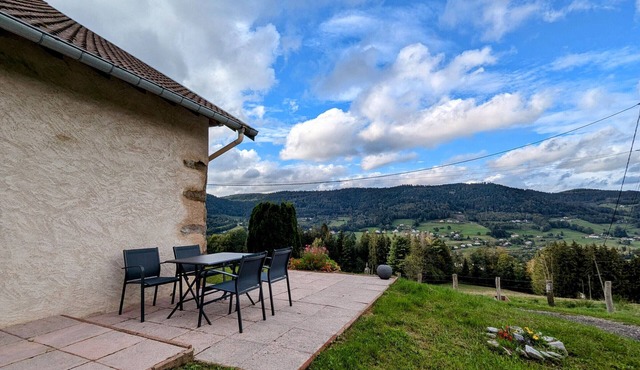 Cozy Apartment, 2-4 people, Vosges, Pets allowed in Le Syndicat
