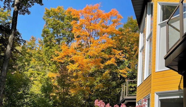 Directly in the mountain for calm and lots of activities in Bromont