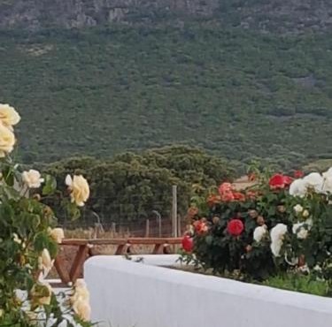 Finca La Rinconada in Calamonte