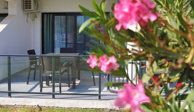 Ground Studio Apartment with Pool View in Iskele, Long Beach, Northern Cyprus in Iskele