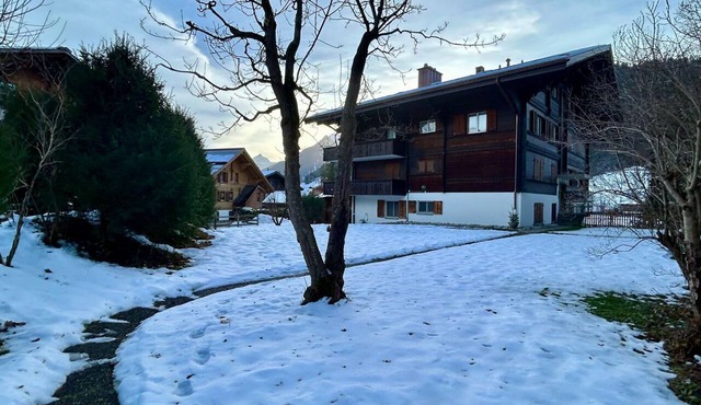 Gstaad Luxurious Flat With Terrace & Stunning Views in Gstaad