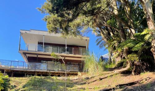 Gully Retreat in Hamilton