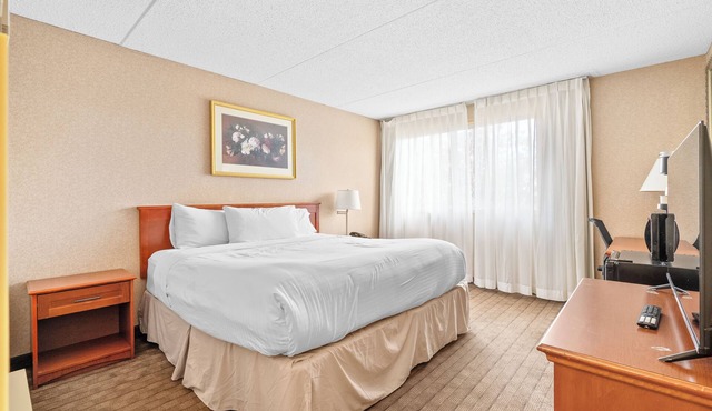 Hotel King Suite with Parking, AC, Gym, Pool in Calgary