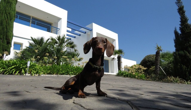 House in Tarifa